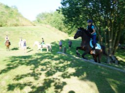 dsc06060_web